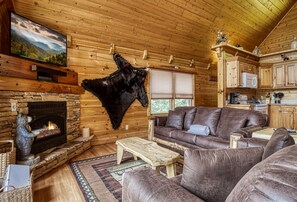 TV, fireplace, DVD player