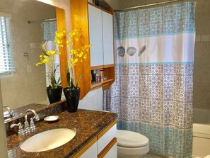 Combined shower/bathtub, hair dryer, towels, soap