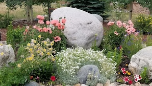 Ein Garten mit verschiedenen Blumen und großen Steinen.