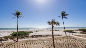 Una playa con palmeras, dunas de arena y una vista despejada del océano.