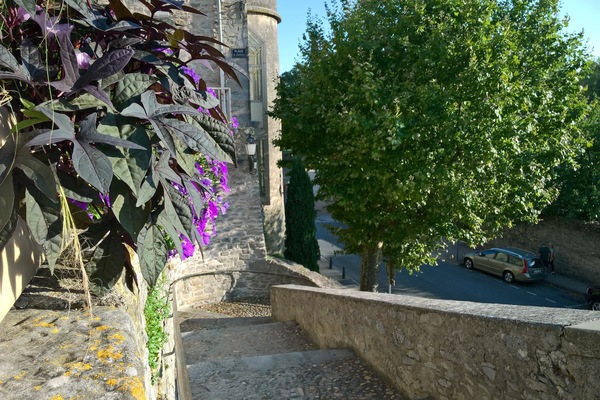 Àrea exterior de l'allotjament