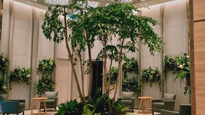A lobby with a large indoor tree, several chairs, and tables. - Komune Living (Kuala Lumpur)