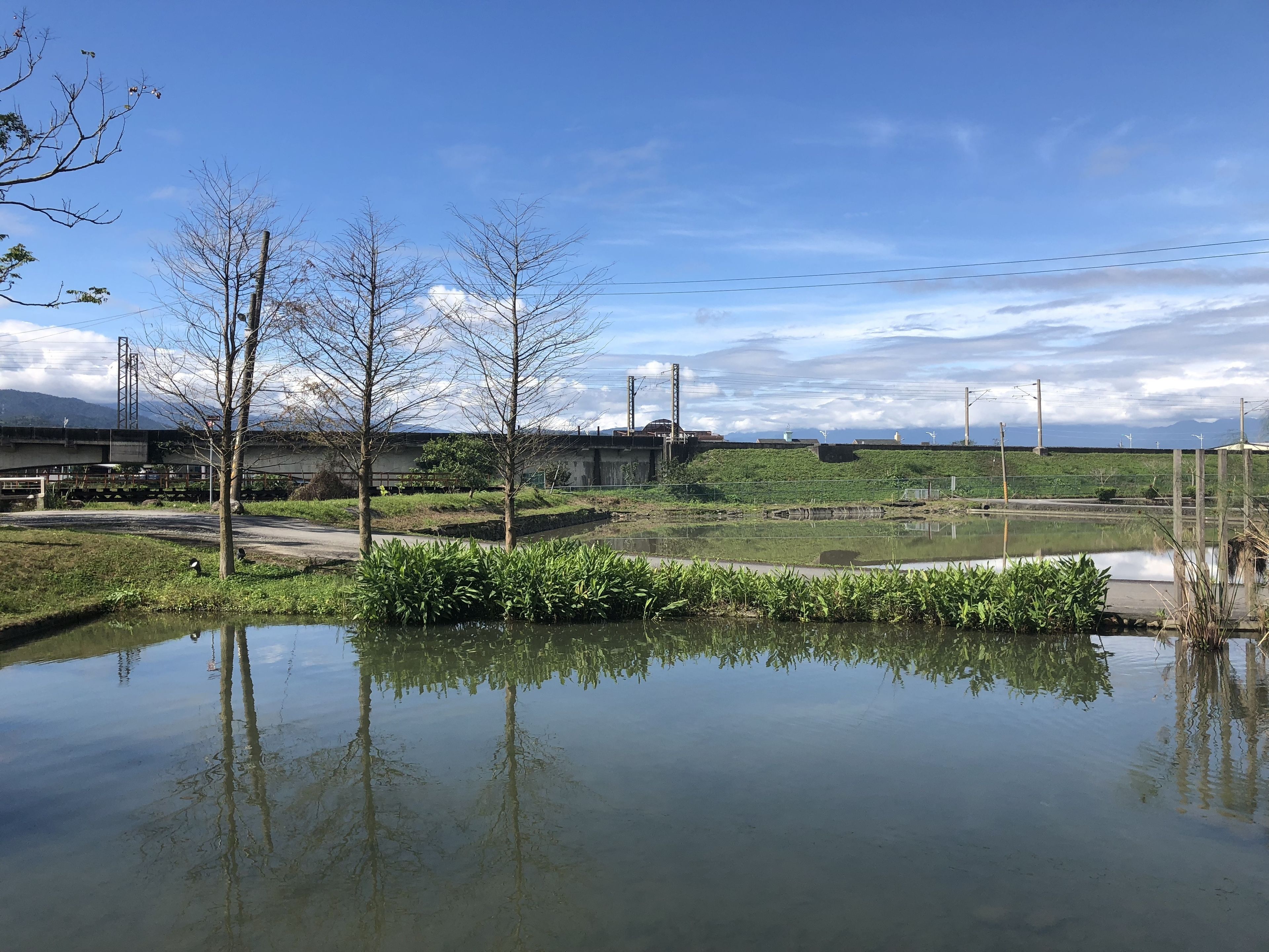Un espacio exterior tranquilo con un estanque sereno, árboles y una vista distante de un puente y edificios industriales.