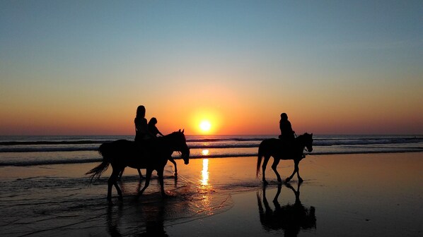 Playa en los alrededores 