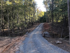 Property grounds - Suite w/ Private Entry and Nature Trails ($40 cleaning) (Charlotte)