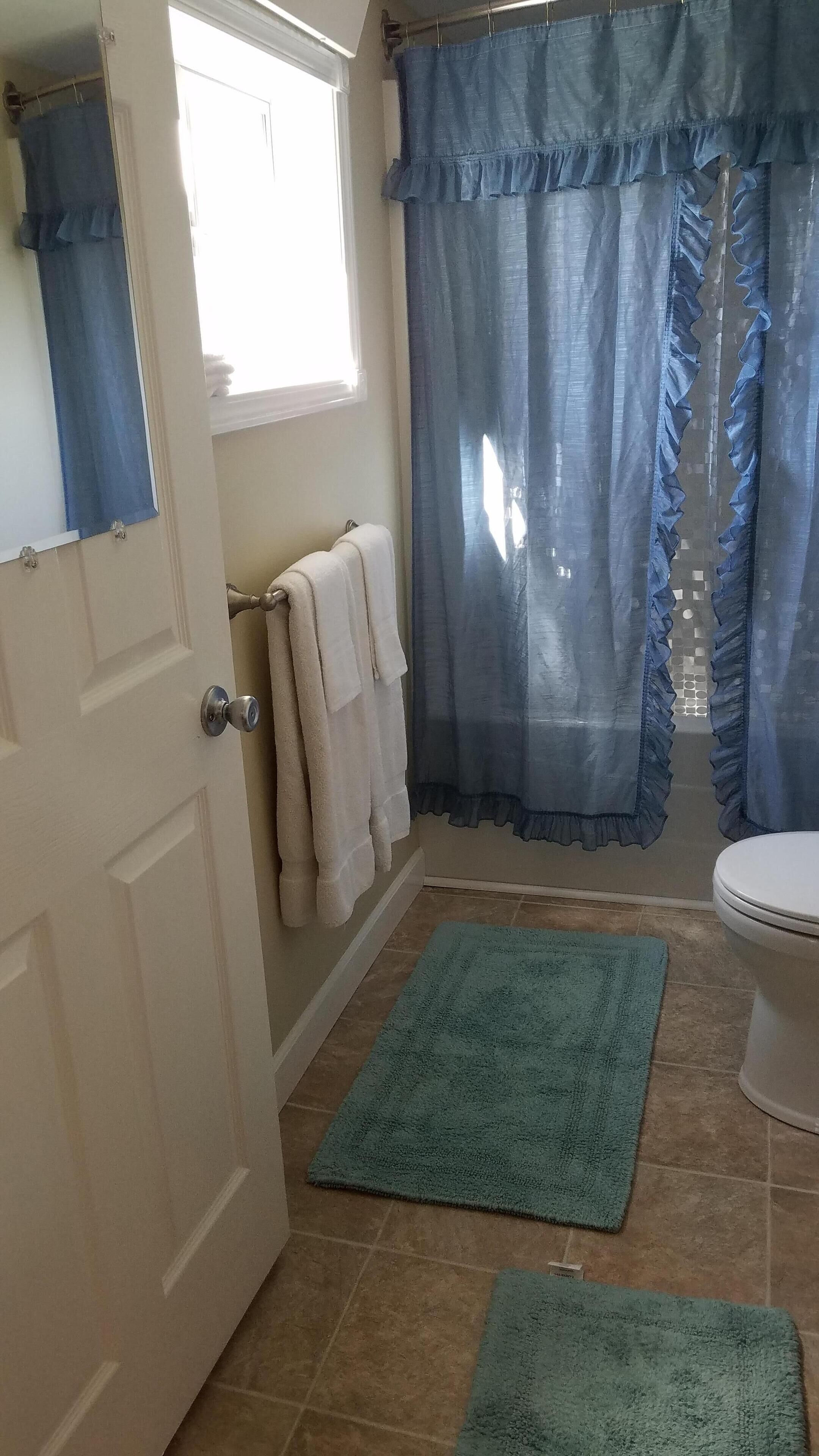 Ein Badezimmer mit Toilette, Waschbecken, Spiegel, Handtuchhalter und einer Duschvorhang.
