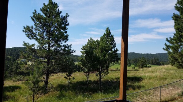 Ländliche Landschaft mit blauem Himmel, einigen Kiefern und einer entfernten Hügelkette.