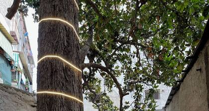 NUEVA OFERTA ESPECIAL: "EL APARTAMENTO NOBLE APT" en el histórico Palacio del siglo XVI