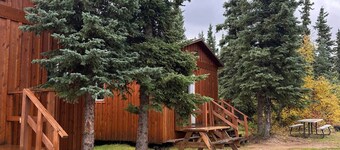 デナリ近くのとげのあるローズキャビン