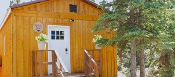 Prickly Rose Cabin-Arctic Dragonfly Inn