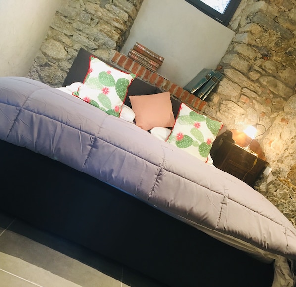 1 chambre, bureau, fer et planche Ă repasser