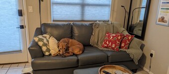 WildWoof Beach Bungalow