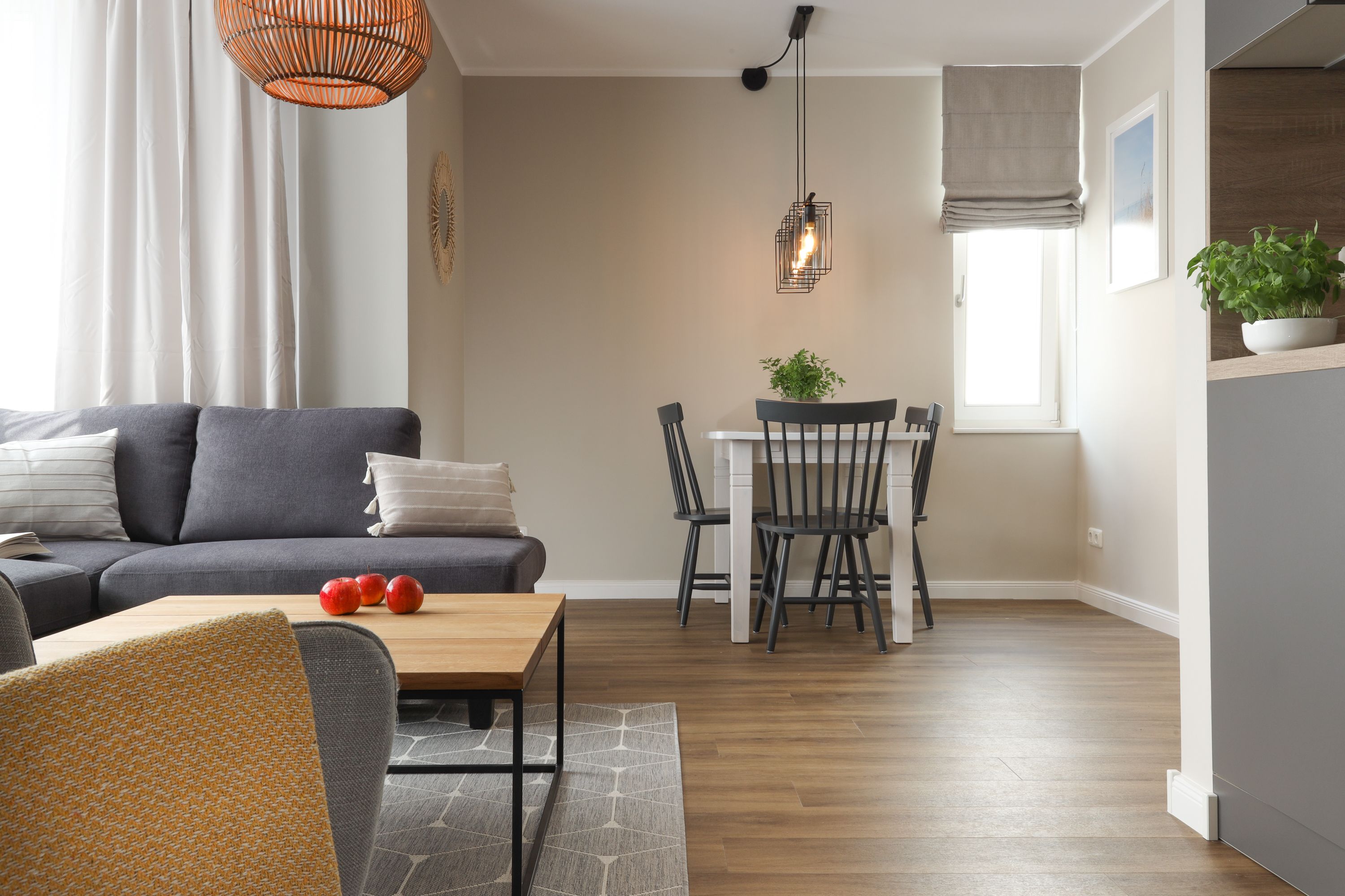 A modern living room with a sofa, dining table, chairs, and a potted plant.