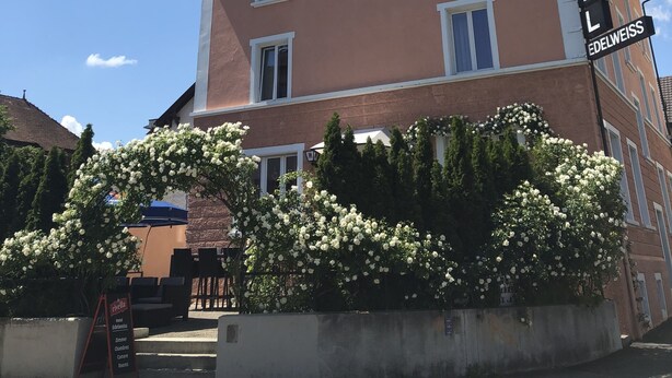 A hotel with a pink facade, multiple windows, and a sign reading "HOTEL EDELWEISS". - Hotel Edelweiss (Neuhausen am Rheinfall)