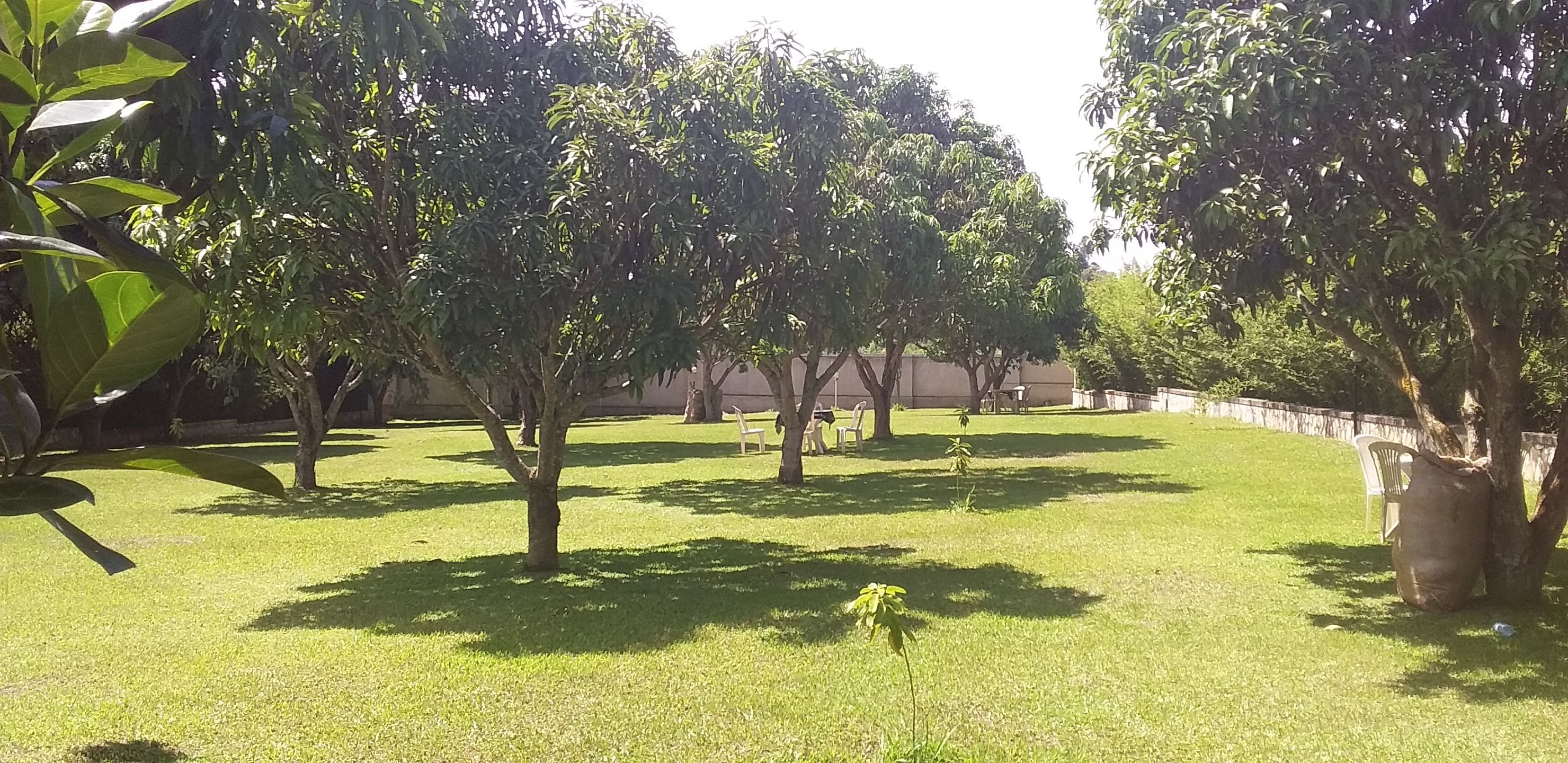 A well-maintained grassy area with several trees and a few plastic chairs.