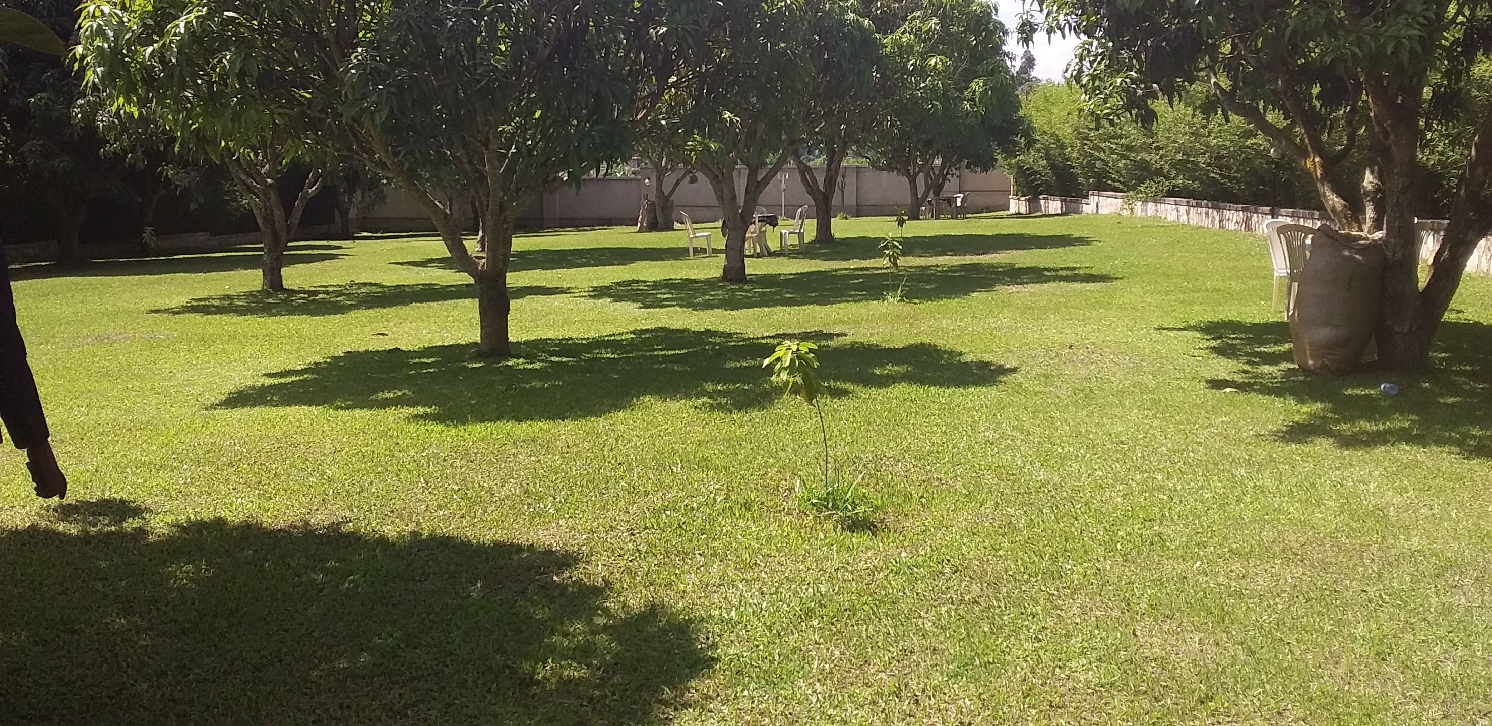 Un espacio al aire libre con césped, árboles y algunas sillas de plástico.