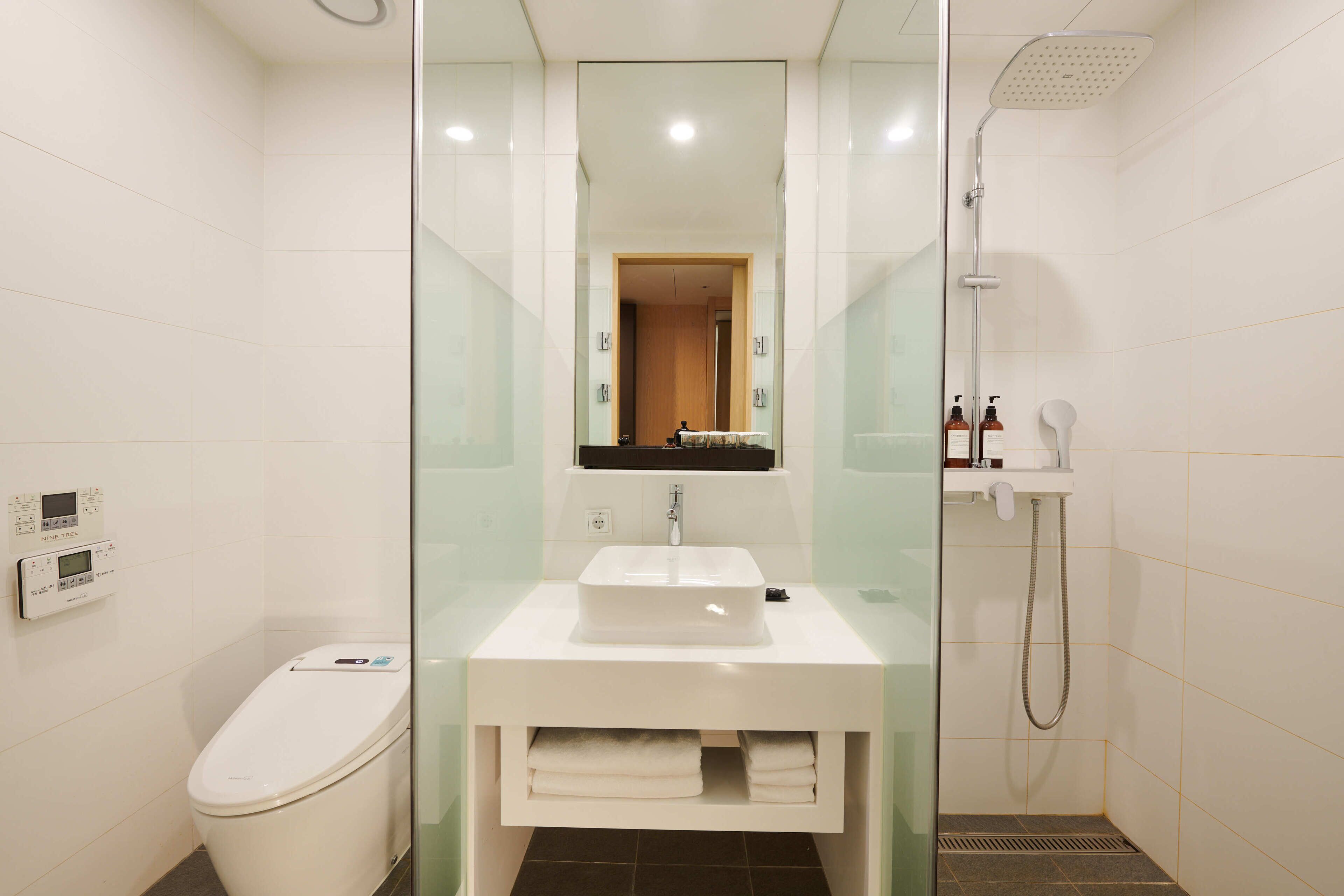 A modern bathroom with a glass-enclosed shower, a white sink, and a toilet.