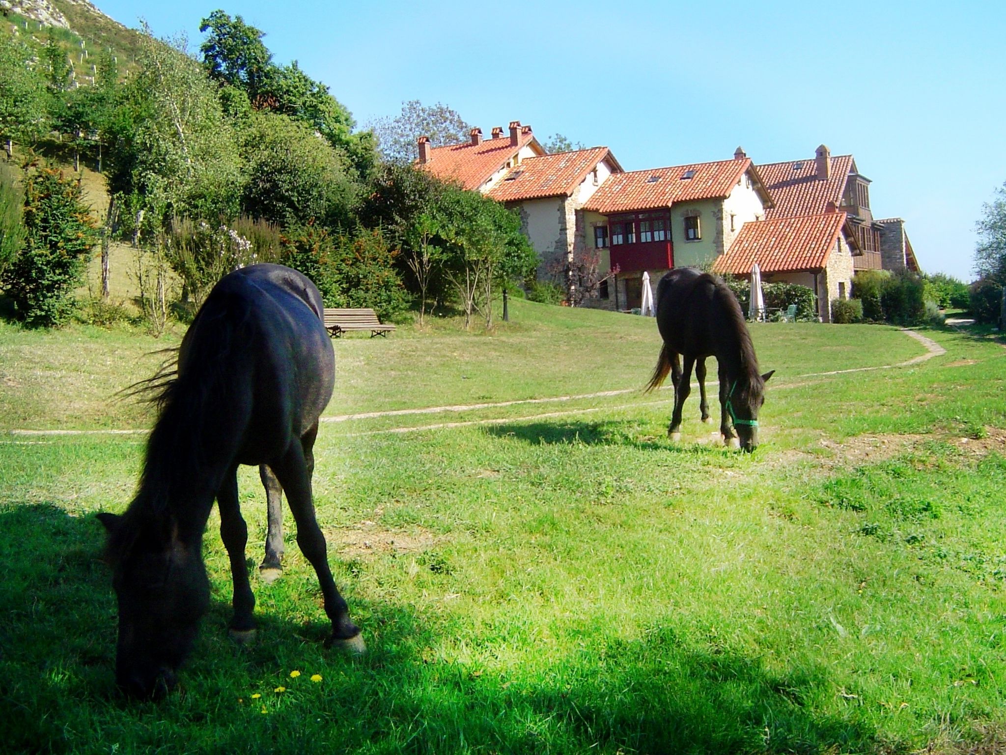 Foto - La Montaña Mágica Hotel Rural