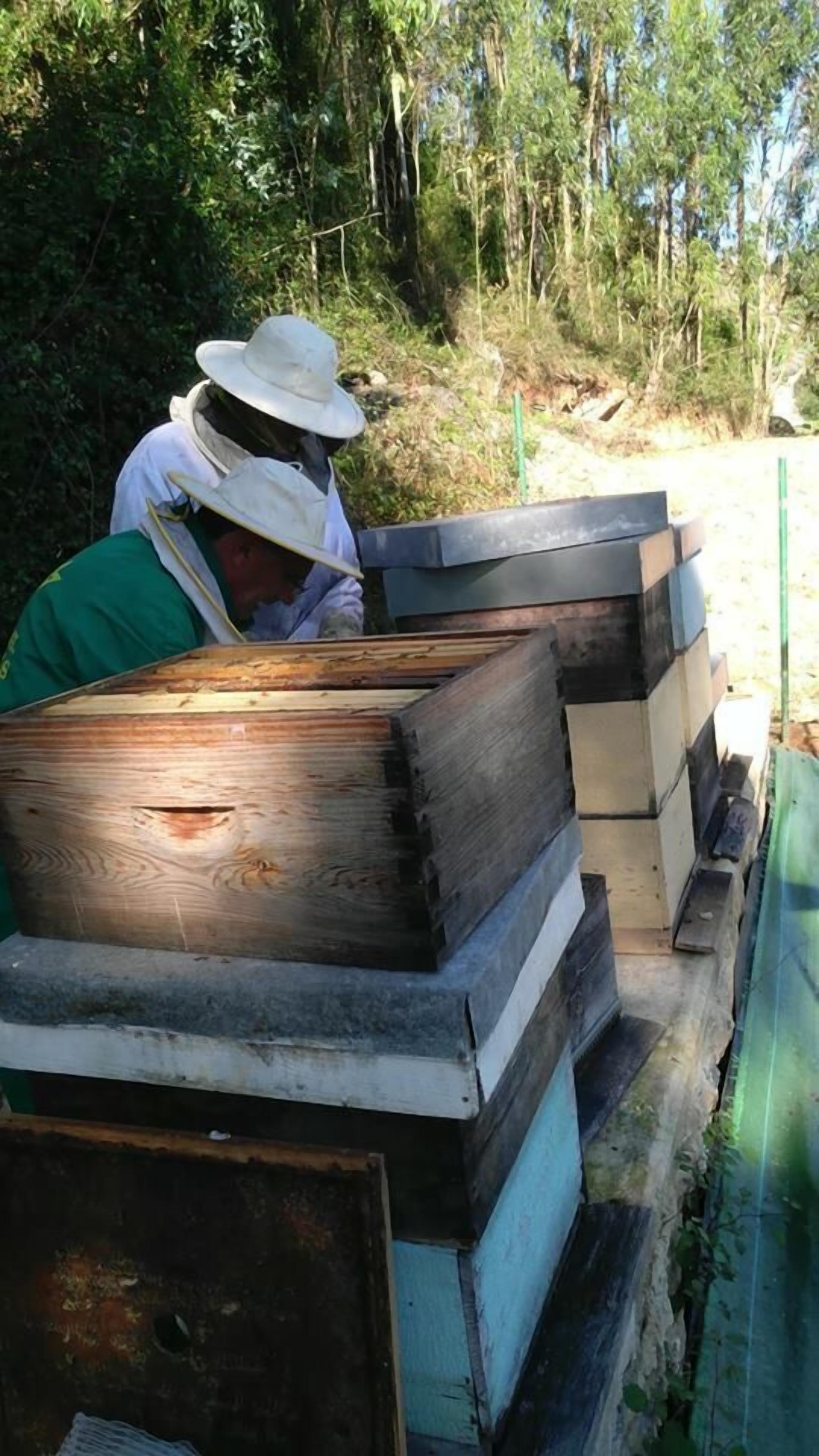 Foto - La Montaña Mágica Hotel Rural