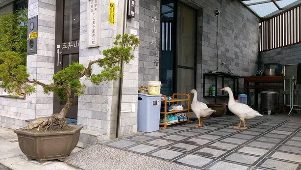 A building entrance with a potted tree, a blue container, and two white geese on the tiled ground. - Yujing Mountain Water Residence I (Tainan)