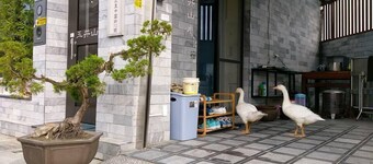 Yujing Mountain Water Residence I