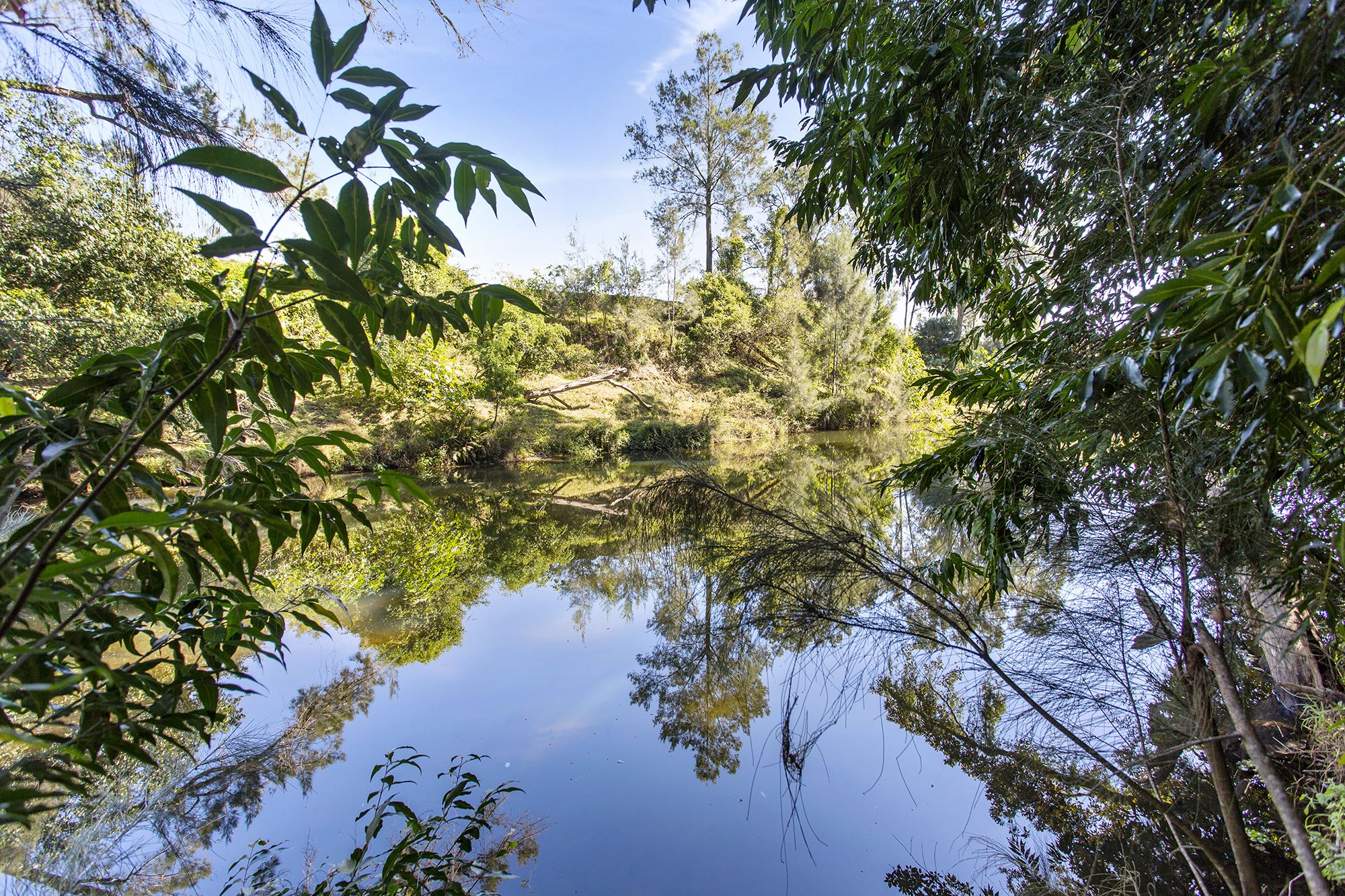 A serene natural landscape with a clear water body surrounded by dense foliage.
