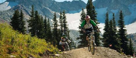 Sendero para ciclismo de montaña con una vista despejada de las montañas y árboles circundantes.
