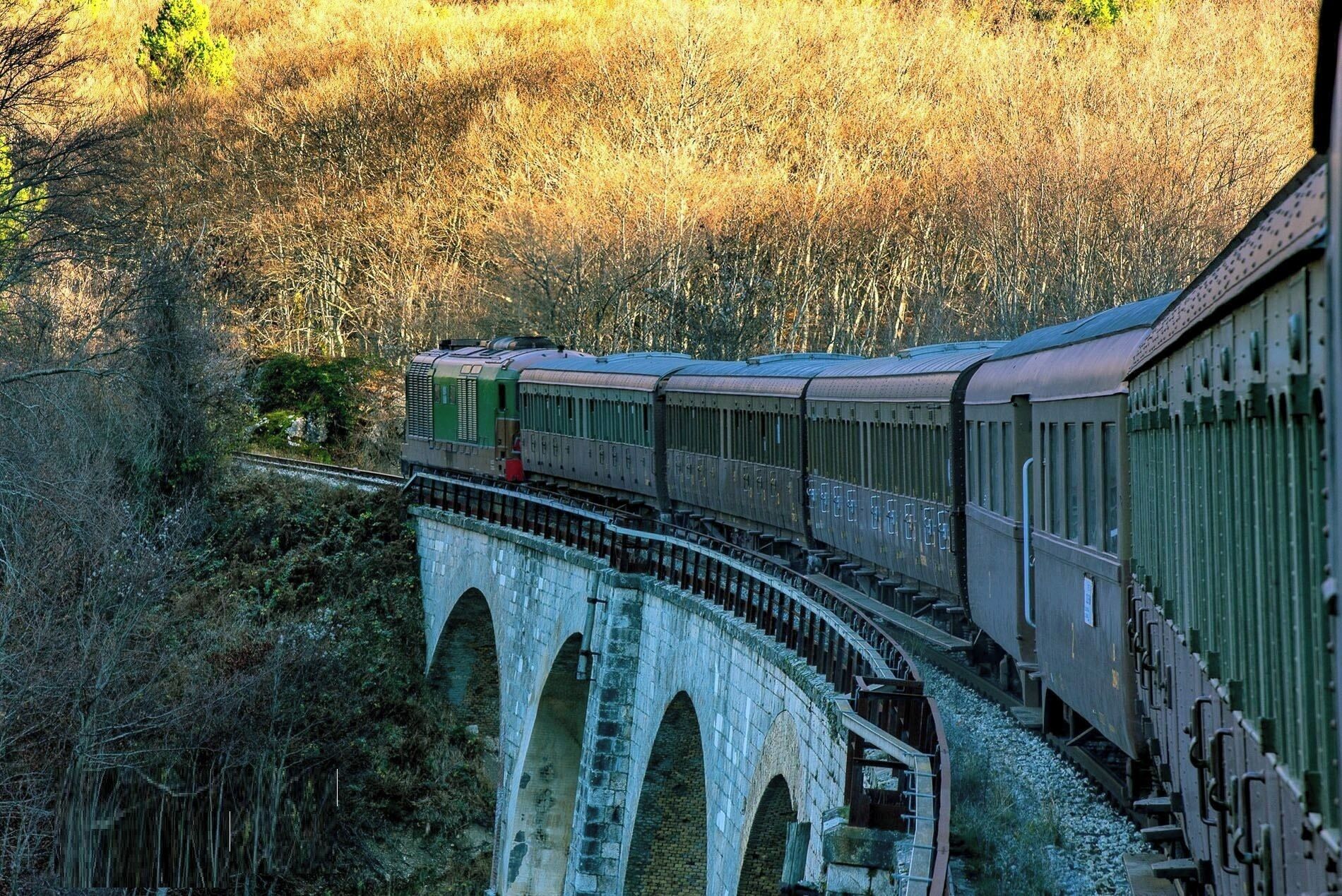 Un tren sobre un puente arqueado, con una ladera boscosa al fondo.