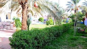 A courtyard with palm trees, a hedge, and outdoor furniture.