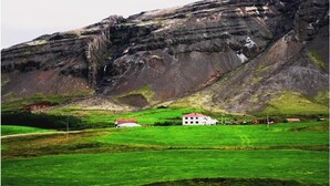 Property grounds - Setberg Guesthouse (Hoffell)