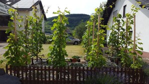 Un giardino con viti e una recinzione in legno, un'auto parcheggiata e edifici sullo sfondo.