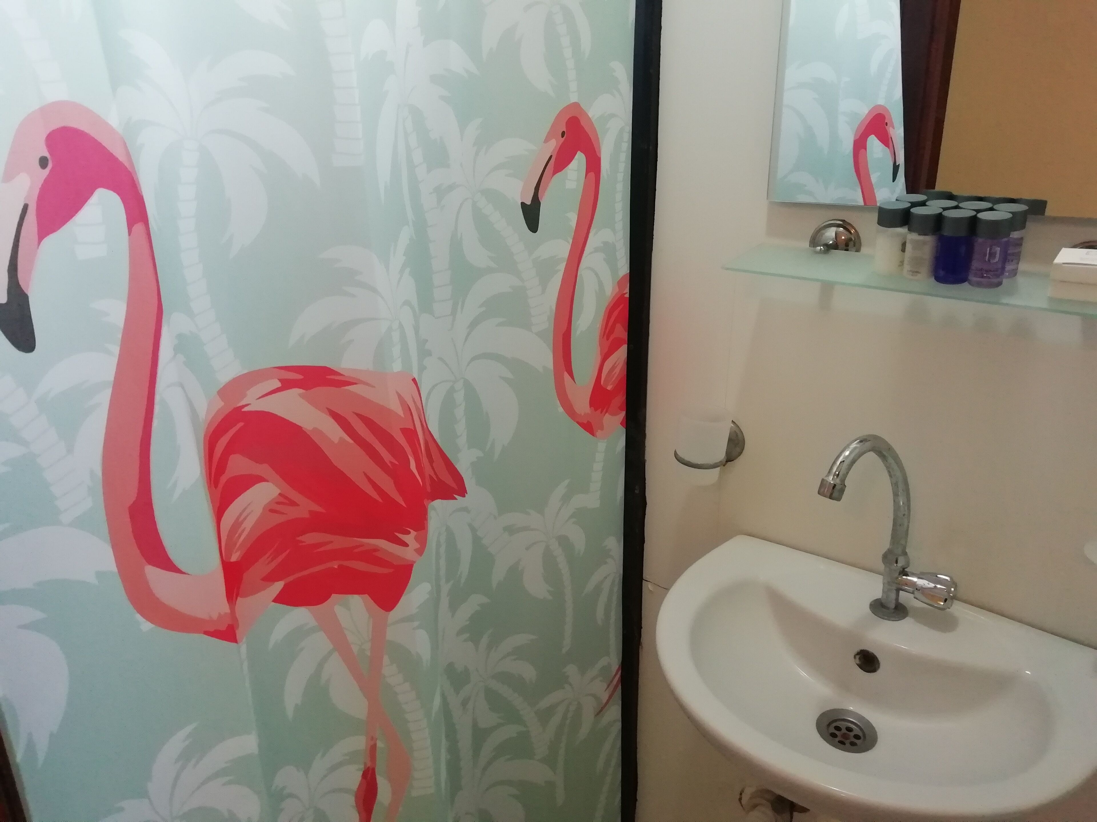 shower, free toiletries, hair dryer, slippers