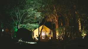 Un edificio amarillo rodeado de abundante follaje de noche.