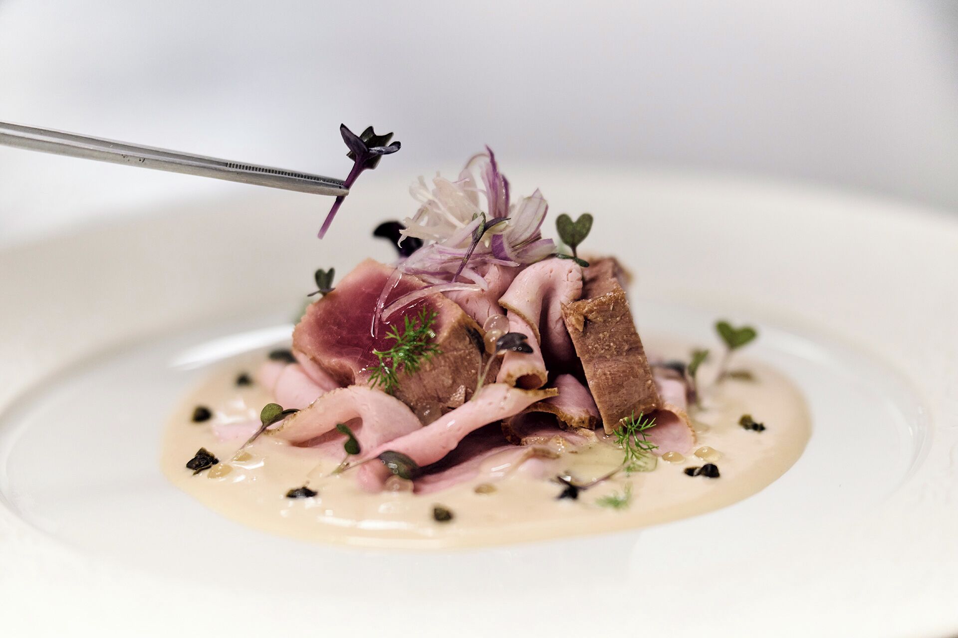 A dish with sliced meat, garnishes, and a creamy sauce on a plate.