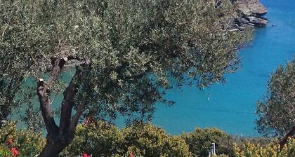 Stunning House - Sleeps 11, Terrace & Sea View