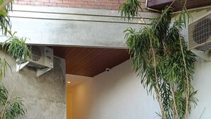 Un espacio exterior moderno con una escalera de hormigón que conduce a un interior, rodeado de plantas diversas y un sendero bien iluminado.
