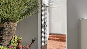 A potted plant with long, slender leaves, a metal gate, and a white door with a small window. - Fuorlovado 40 (Capri)
