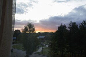 View from room - Novinki Park (Dankovskoe)