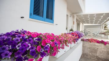 Área da propriedade