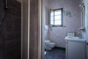 Bathroom features a shower area, toilet, and sink with mirror.