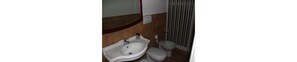 A bathroom with a sink, toilet, and a mirror.