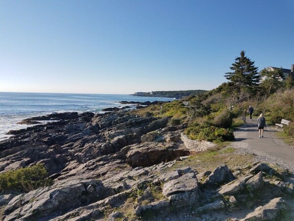 En stenet kyststi med kig til havet og en fjer beliggende kystlinje.