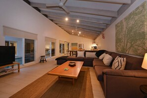 TV, Netflix, streaming services