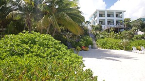Una proprietà sul lungomare con un edificio bianco, palme e un vialetto sabbioso che conduce ai lettini da spiaggia.