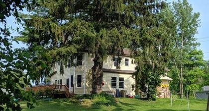 Large docks, place for memories as one of a kind. Relax, play, swim, fish