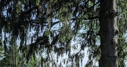 Large docks, place for memories as one of a kind. Relax, play, swim, fish