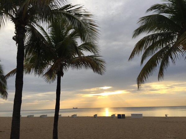サンラウンジャー、ビーチタオル