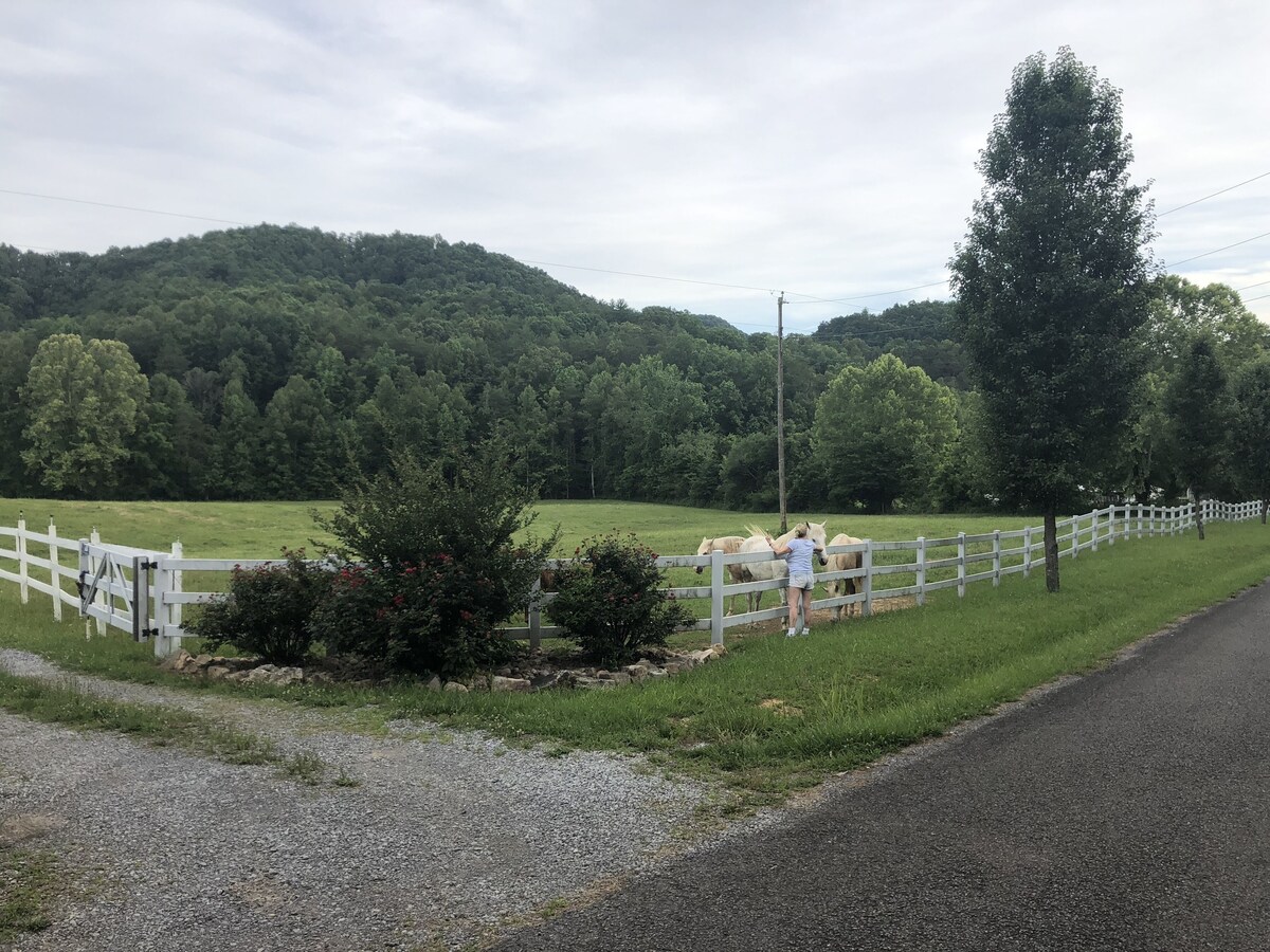 Imagem do perfil do anfitrião