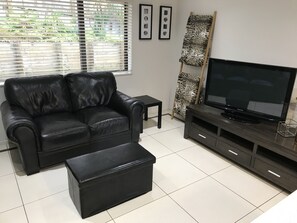 TV, fireplace - Perfect for Tauranga Games goals (Pyes Pa)