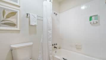 Eco-friendly toiletries, hair dryer, towels, soap